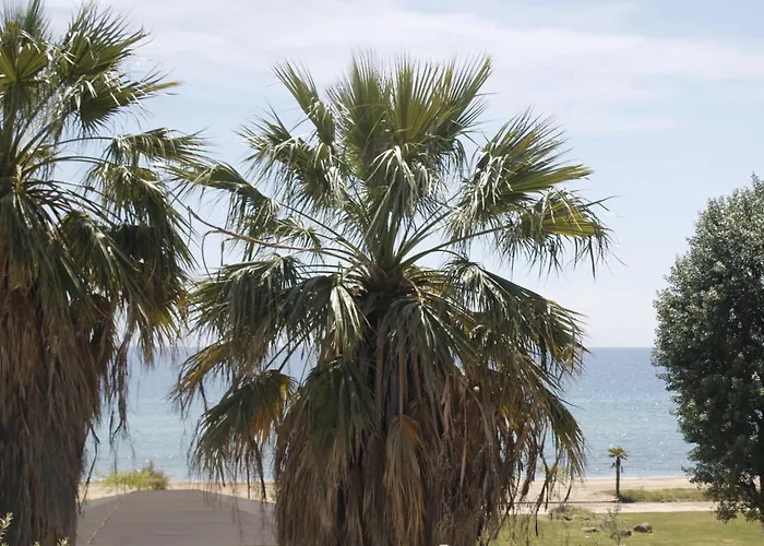 Studioareticom To Rent In Front The Lovely Sea Fully Equipped Plagiastudioseu * Неа-Плайя