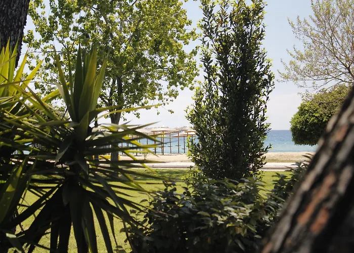 Гостевой дом Studioareticom To Rent In Front The Lovely Sea Fully Equipped Plagiastudioseu