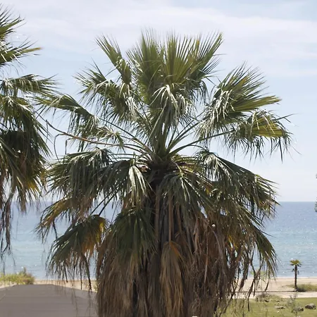 To Rent In Front The Lovely Sea Fully Equipped * Nea Plagia